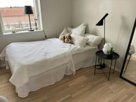 Fynd - Säng 120cm Hemkörning