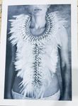 Poster Tove Frank - Shells and Feathers