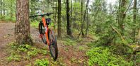 BH Expert 4.5 med dropper post 29" Hardtail mtb