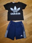 shorts o t-shirt