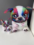 En gosig och lyxig hundfamilj med 3 Franska bulldogs