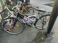 cykel
