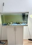 akvarium med fiskar/malar