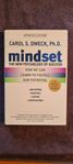 Mindset: The New Psychology of Success av Carol S. Dweck