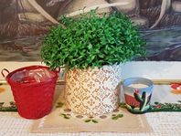 KRUKA MILJÖGÅRDEN KERAMIK GLASERAD BROKAD LYXIG H 11.5 cm