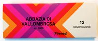 Diabildpsel - Abbazia di Vallombrosa