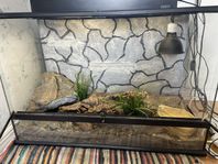 90X45X60 terrarium komplett paket