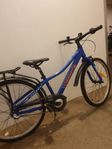 juniorcyckel