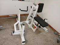 Ryggmaskin 