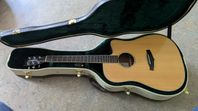 Tanglewood TPE DC DLX