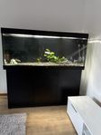 akvarium 450L