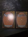 Magic the gathering: Demonic tutor och Ichorid