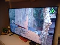 ANDERSSON TV 55