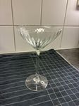 6 st cocktailglas/champangeglas
