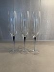 Orrefors Intermezzo blå champagneglas