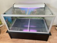 Akvarium 250l