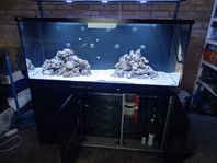Red Sea MAX S-650