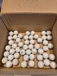 Pro v1/x