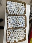 Golfbollar