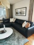 Skinnsoffa divan svart