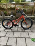 cykel 24”