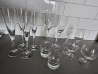 Kosta Boda- Line 11 glas