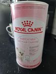 Babycat milk