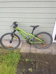 Mountain bike