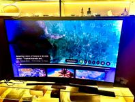 Samsung curved 65 tum