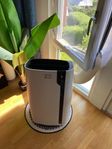 AC De’Longhi Pinguino PAC EX100 silent