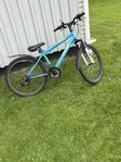 cykel 24”