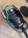 Electrolux UltraOne Green
