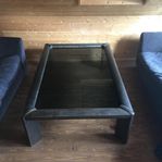 Glasbord + skinnfåtölj