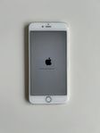 iPhone 6 Plus