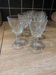 10 st Cristal d'Arques Durand Palmes Crystal Cordial glas