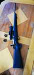Sauer 100