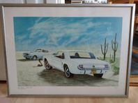 Bob Matson Cobra stop Ford Mustang 43/500