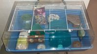 Ferplast Duna Multy hamsterbur