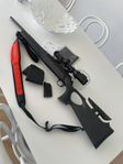 Sauer 303 synchro XT cal 308
