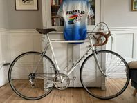 Pinarello Treviso vintage