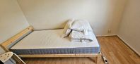 IKEA Bed Frame + Mattress + Free Pillow & Cover