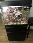Red Sea Akvarium