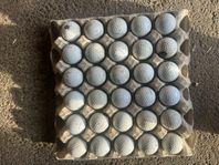 Titleist PRO V1/V1X