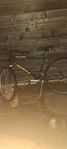 Leopard Bike