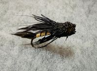 Black Muddler – 6pack storlek 12 – för öring & harr