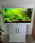 Juwel Rio 125L komplett utan inredning