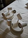 Taklampor (spotlights)