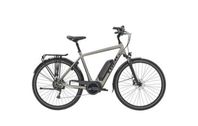 Trek Elcykel herr ska bort!