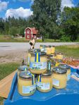 Krämig sommarhonung