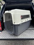 Hundburar godkända för flygtransporter 